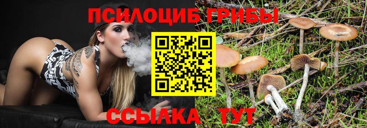 Галлюциногенные грибы Psilocybine cubensis  Галлюциногенные грибы Magic Shrooms  Вход с VPN  Дербент 